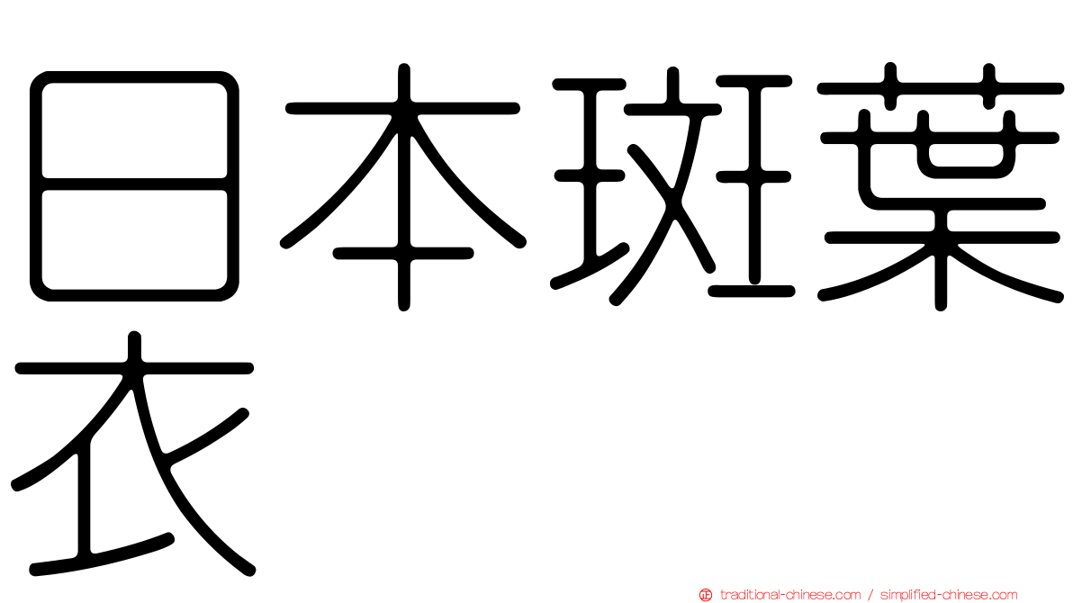 日本斑葉衣