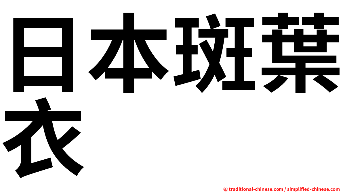 日本斑葉衣