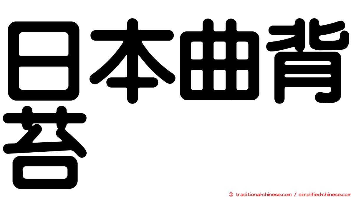 日本曲背苔