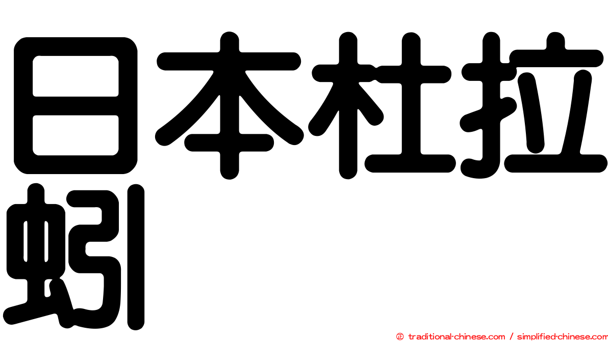 日本杜拉蚓