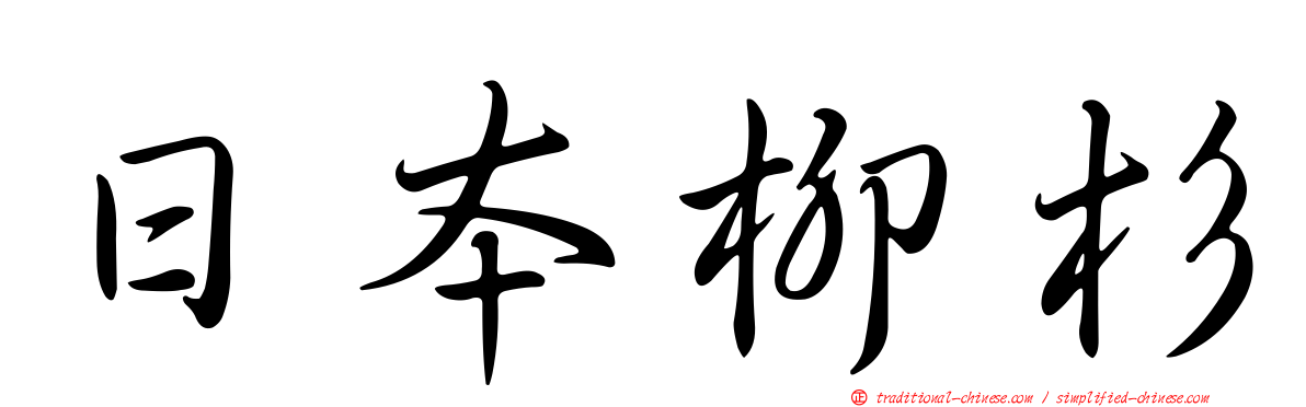 日本柳杉