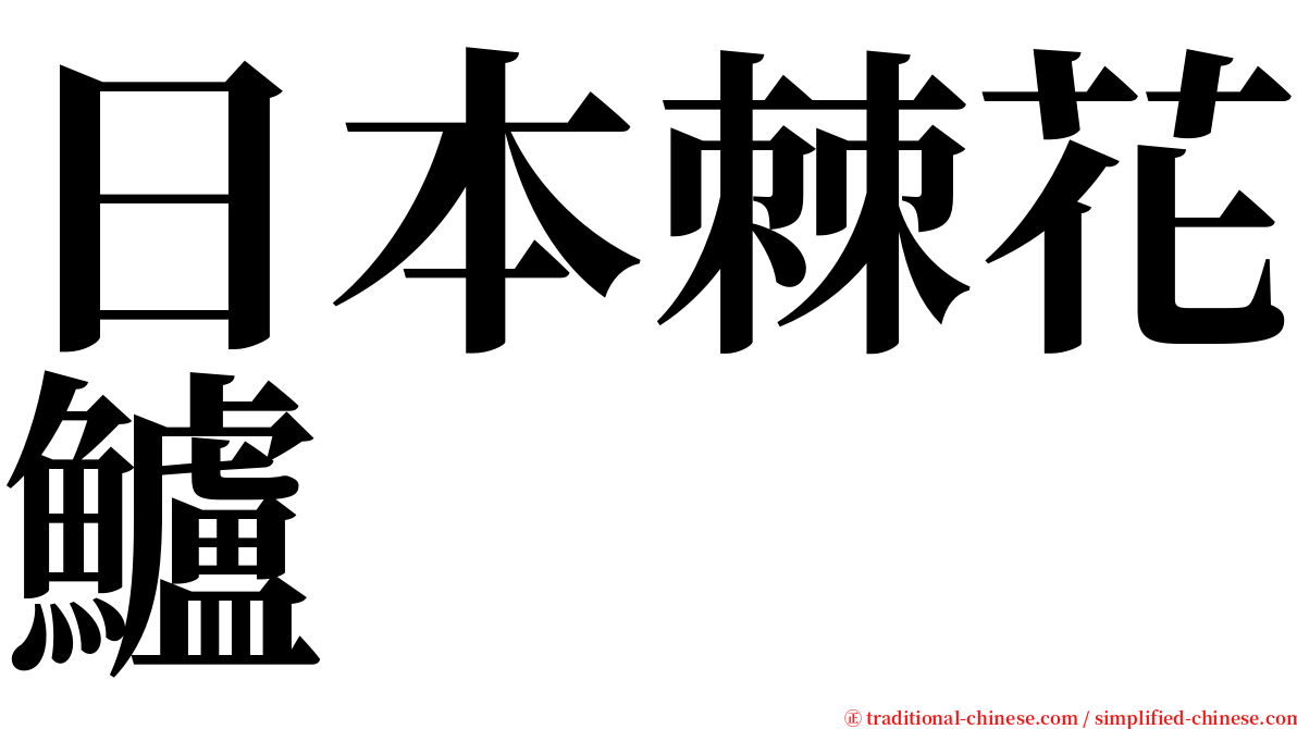 日本棘花鱸 serif font