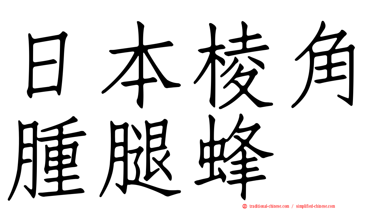 日本棱角腫腿蜂