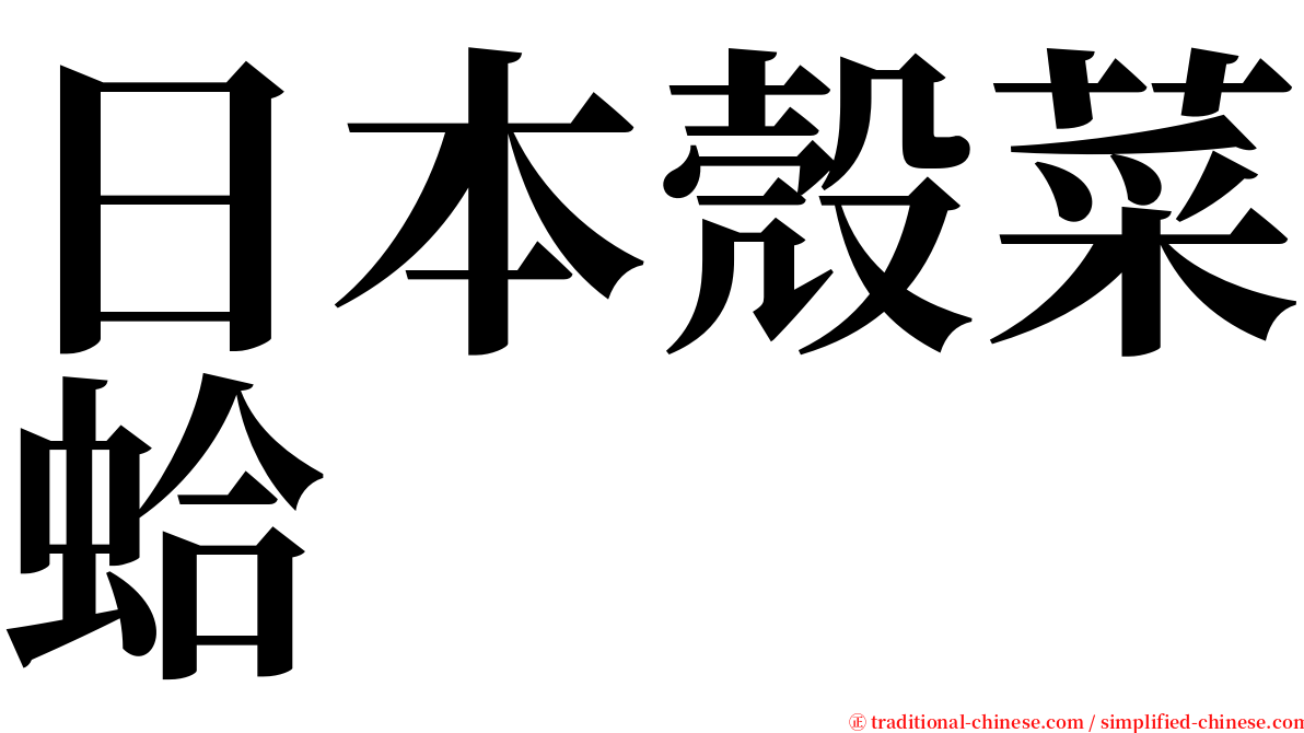 日本殼菜蛤 serif font