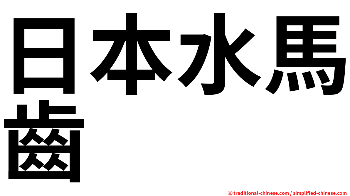 日本水馬齒