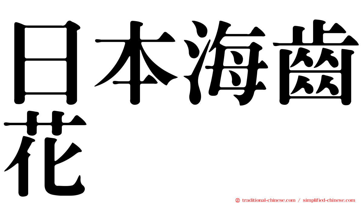 日本海齒花