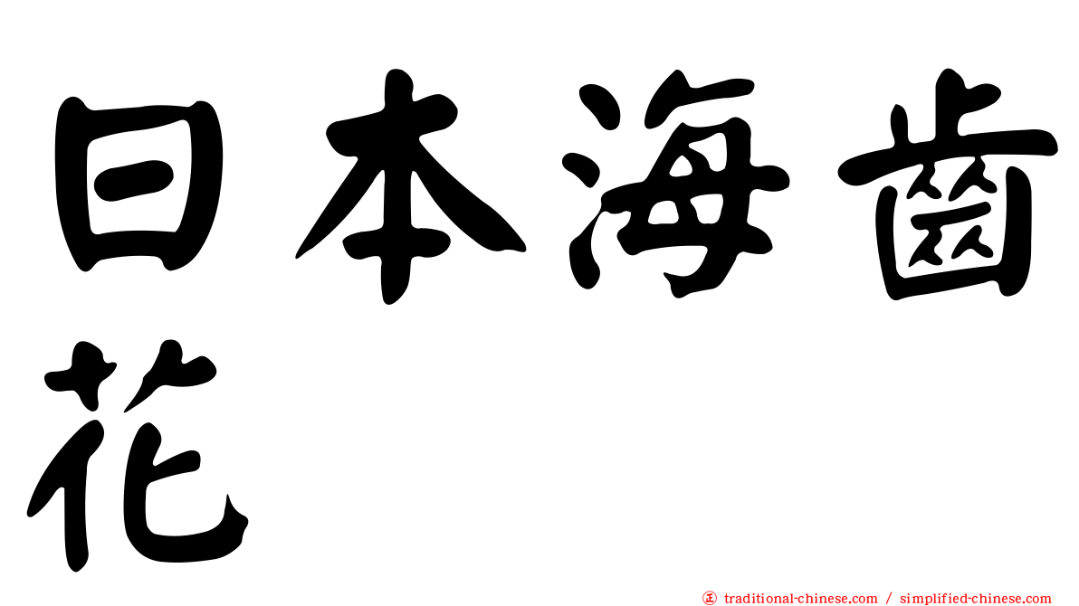 日本海齒花