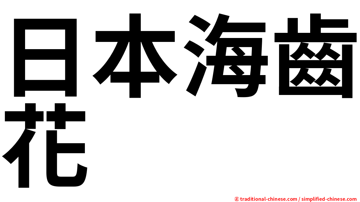 日本海齒花