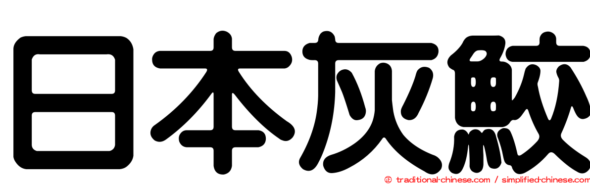 日本灰鮫