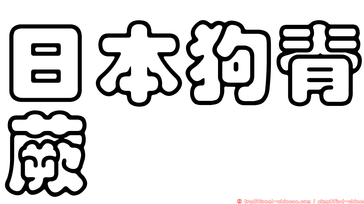 日本狗脊蕨