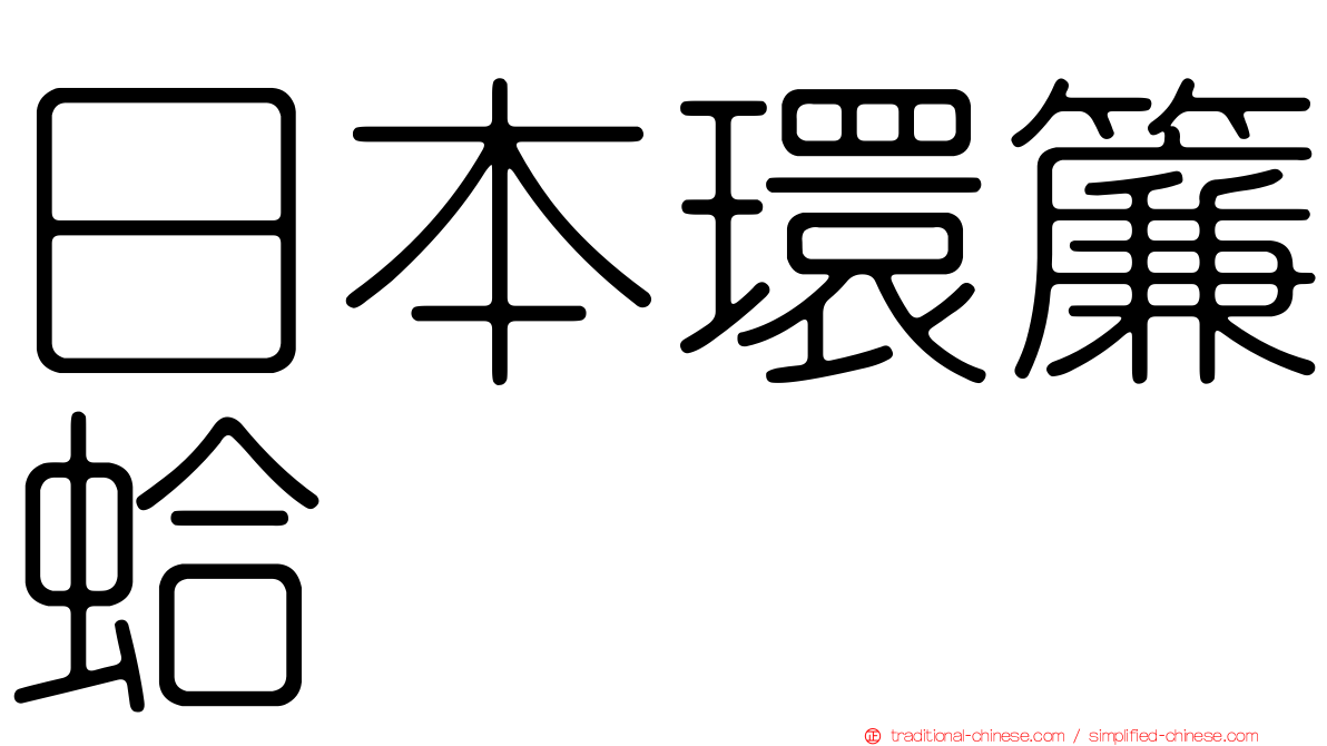 日本環簾蛤