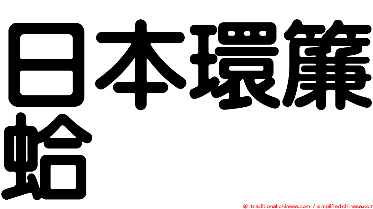 日本環簾蛤
