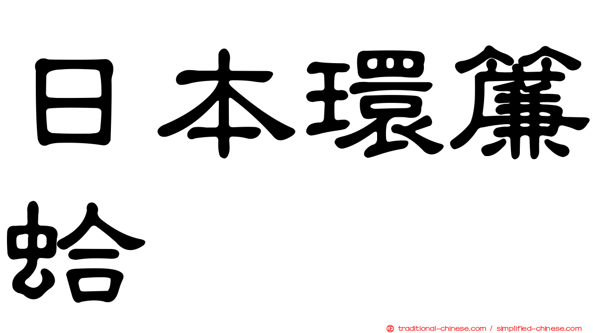 日本環簾蛤