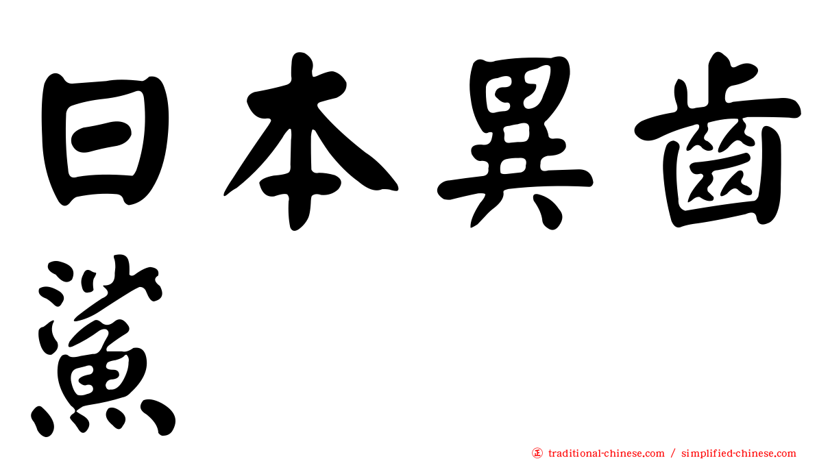 日本異齒鯊