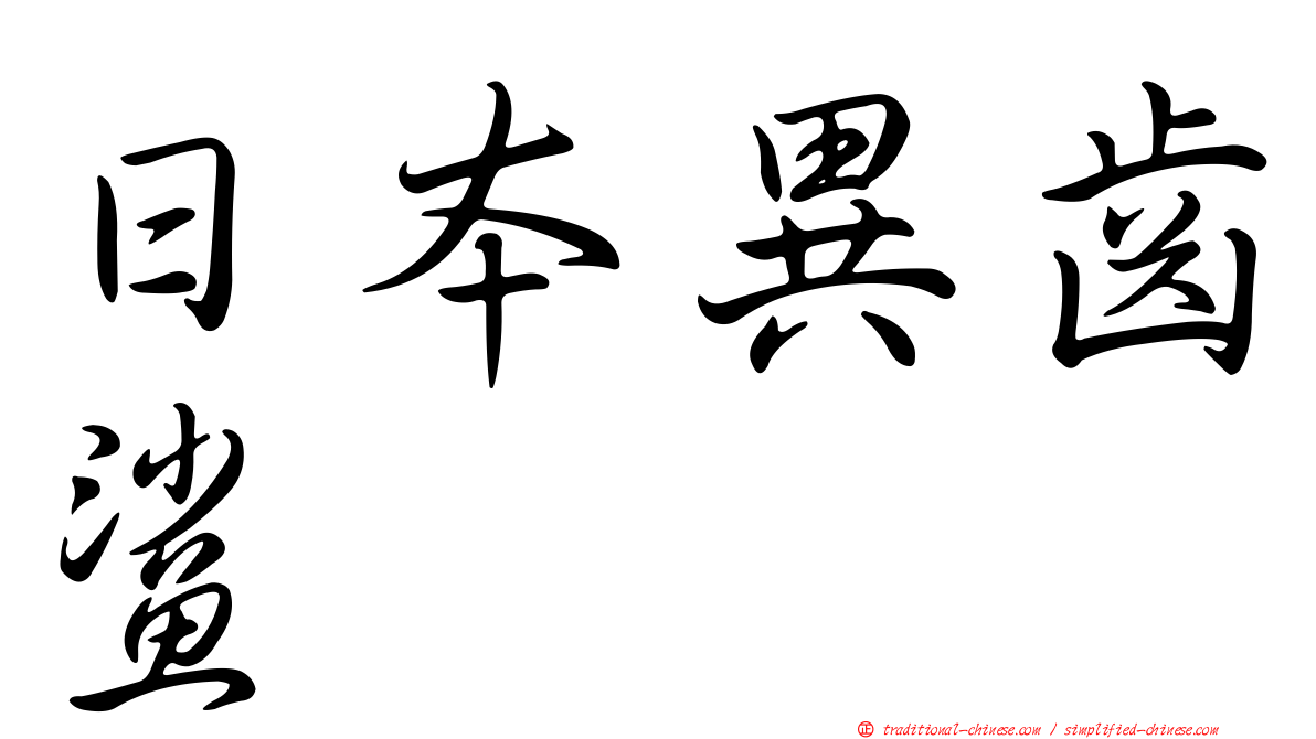日本異齒鯊