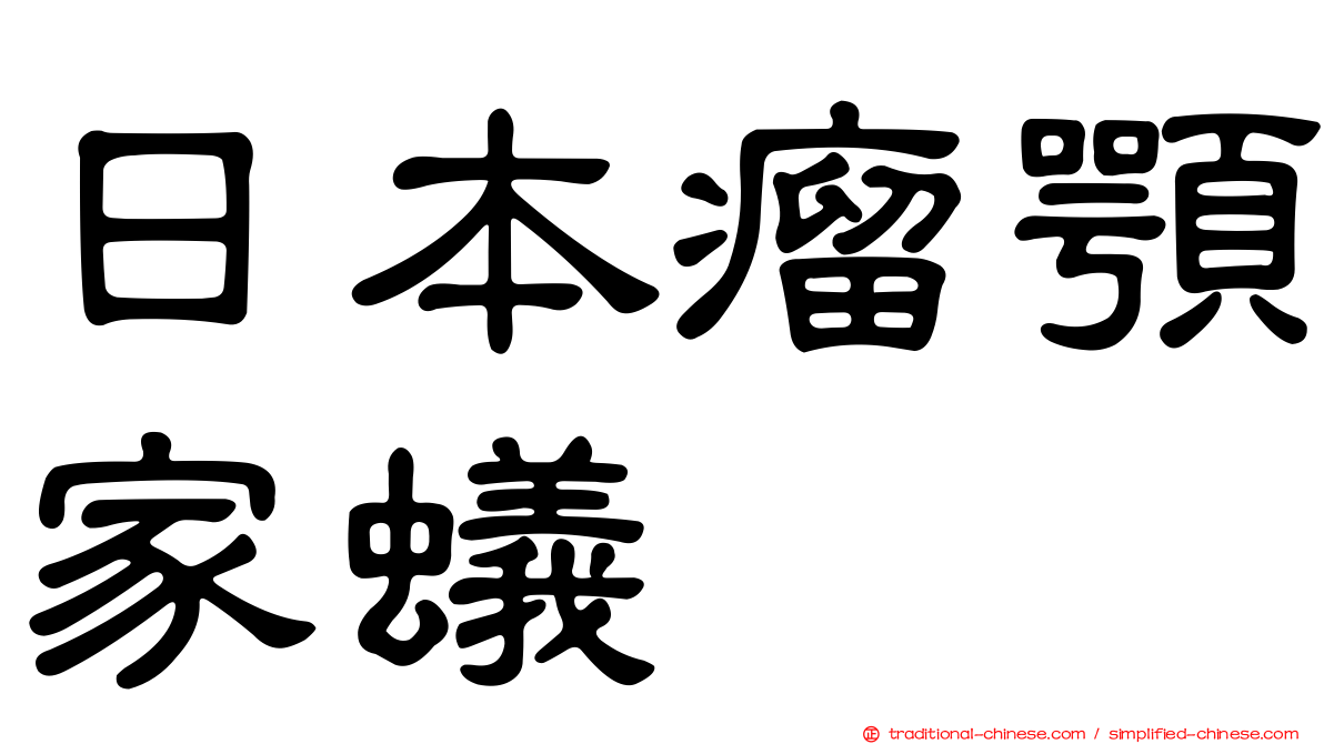 日本瘤顎家蟻