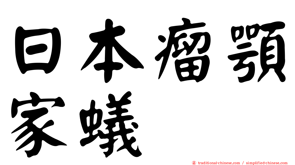 日本瘤顎家蟻