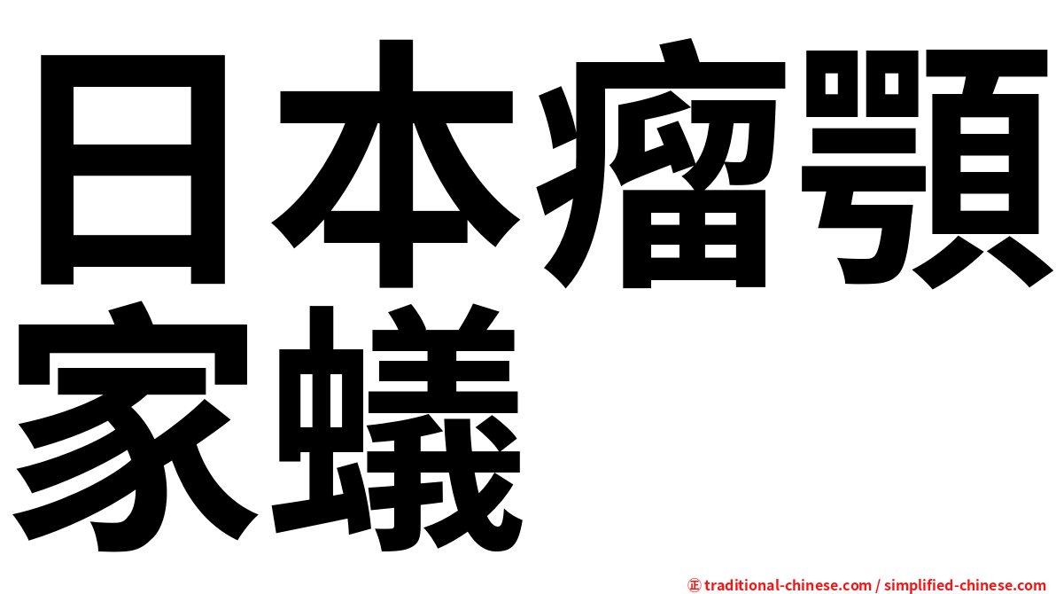 日本瘤顎家蟻
