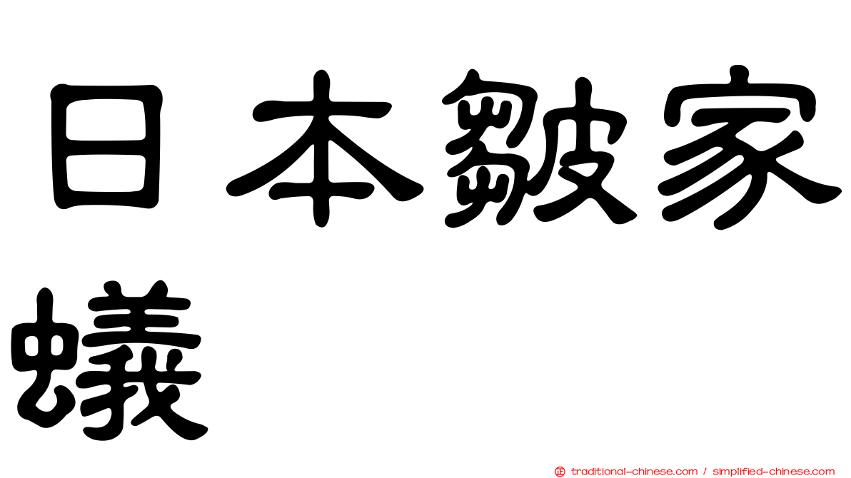 日本皺家蟻