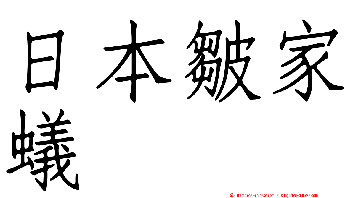 日本皺家蟻