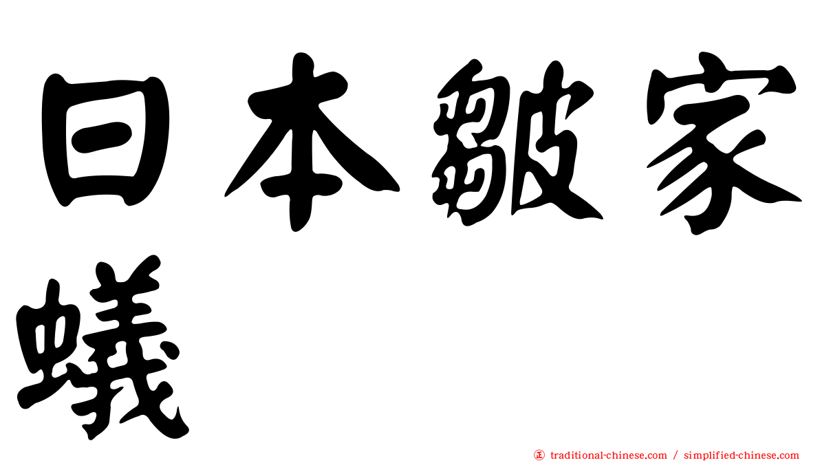 日本皺家蟻