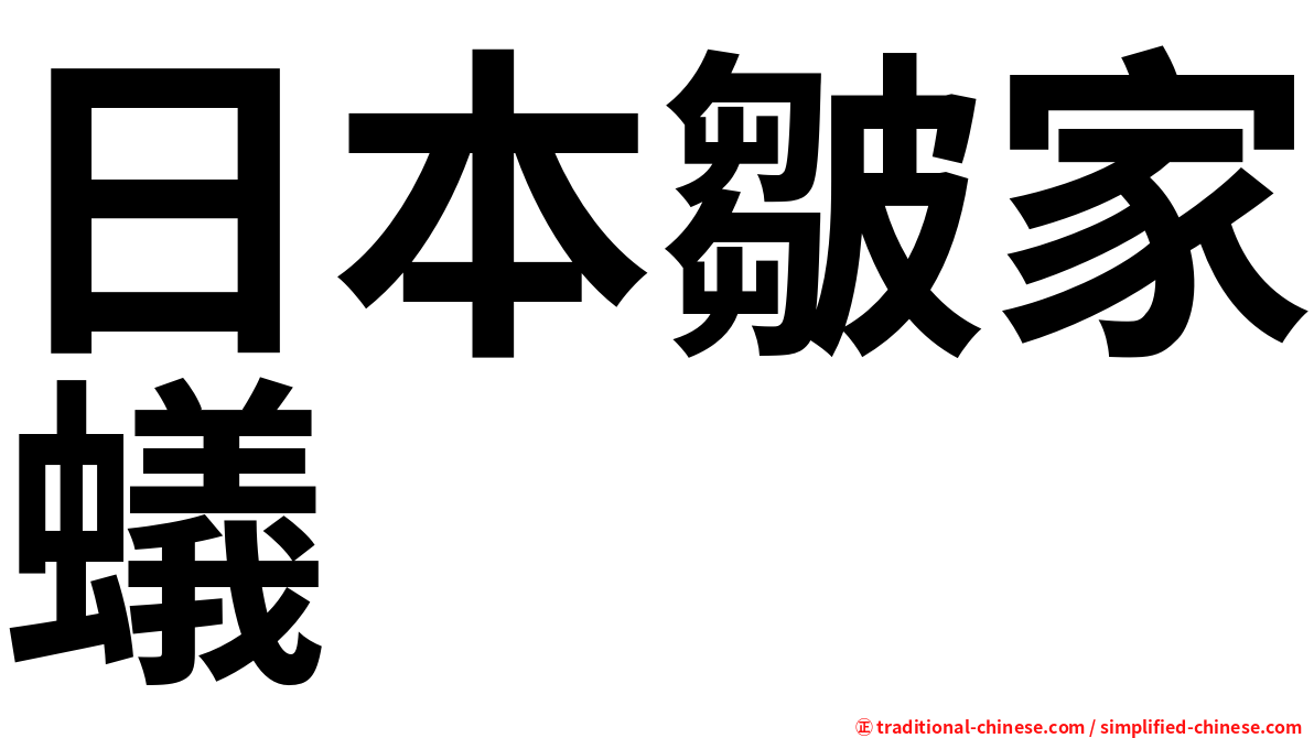 日本皺家蟻