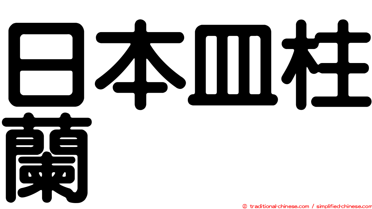日本皿柱蘭
