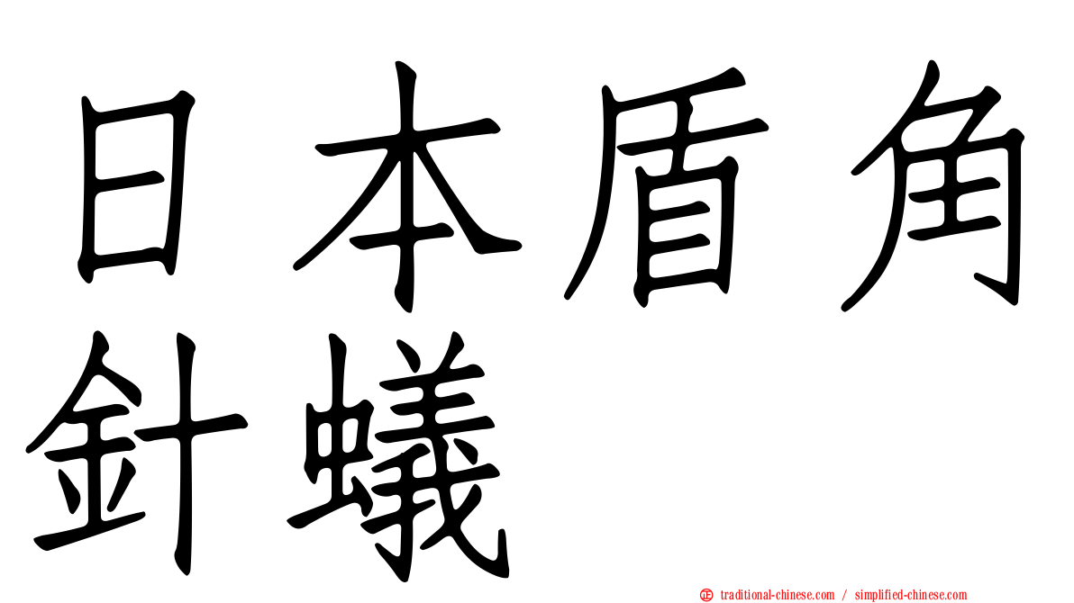日本盾角針蟻