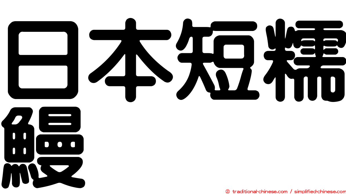 日本短糯鰻
