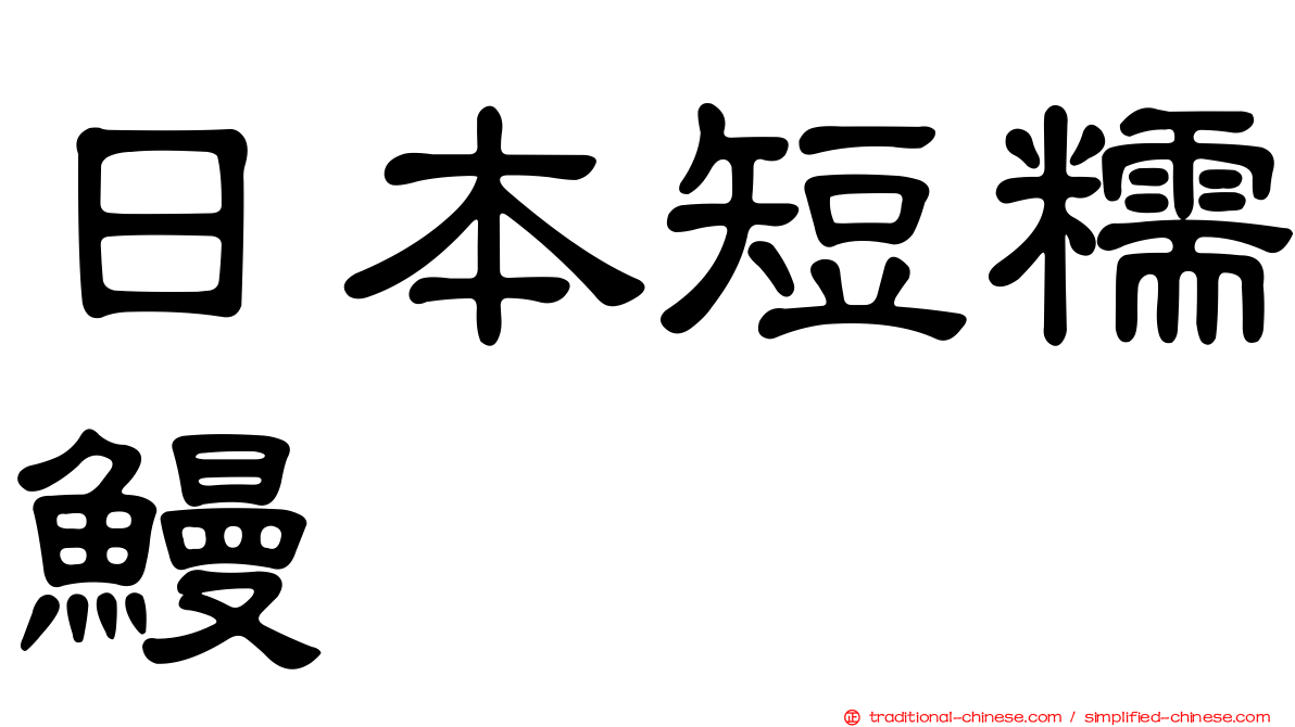 日本短糯鰻