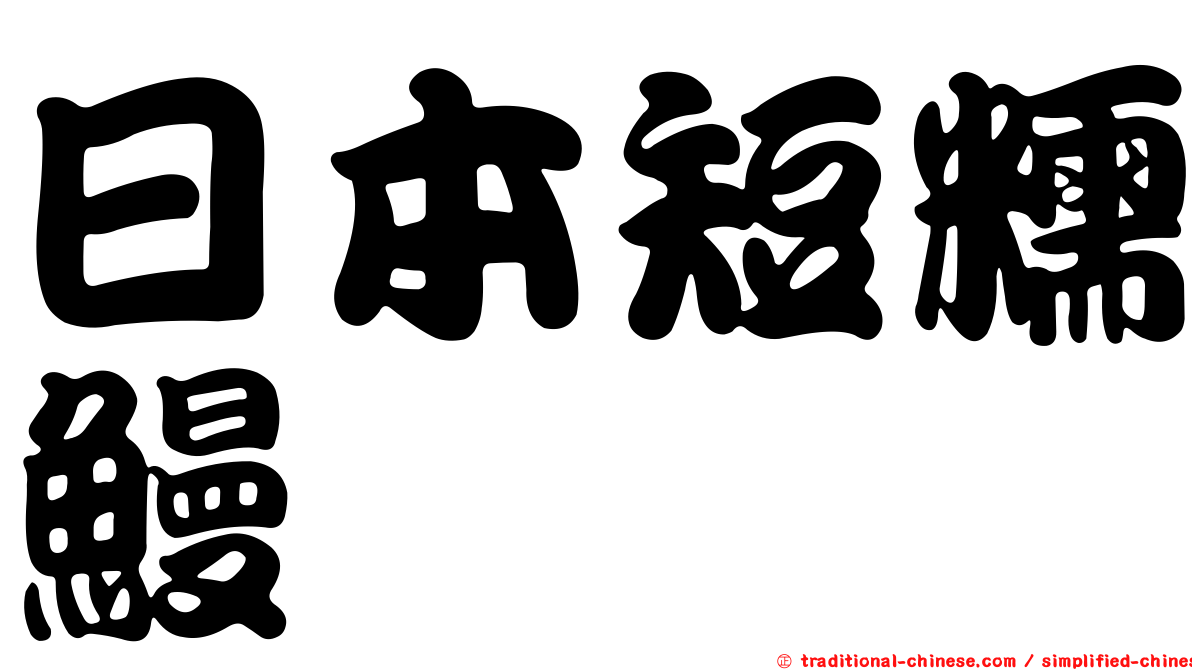 日本短糯鰻