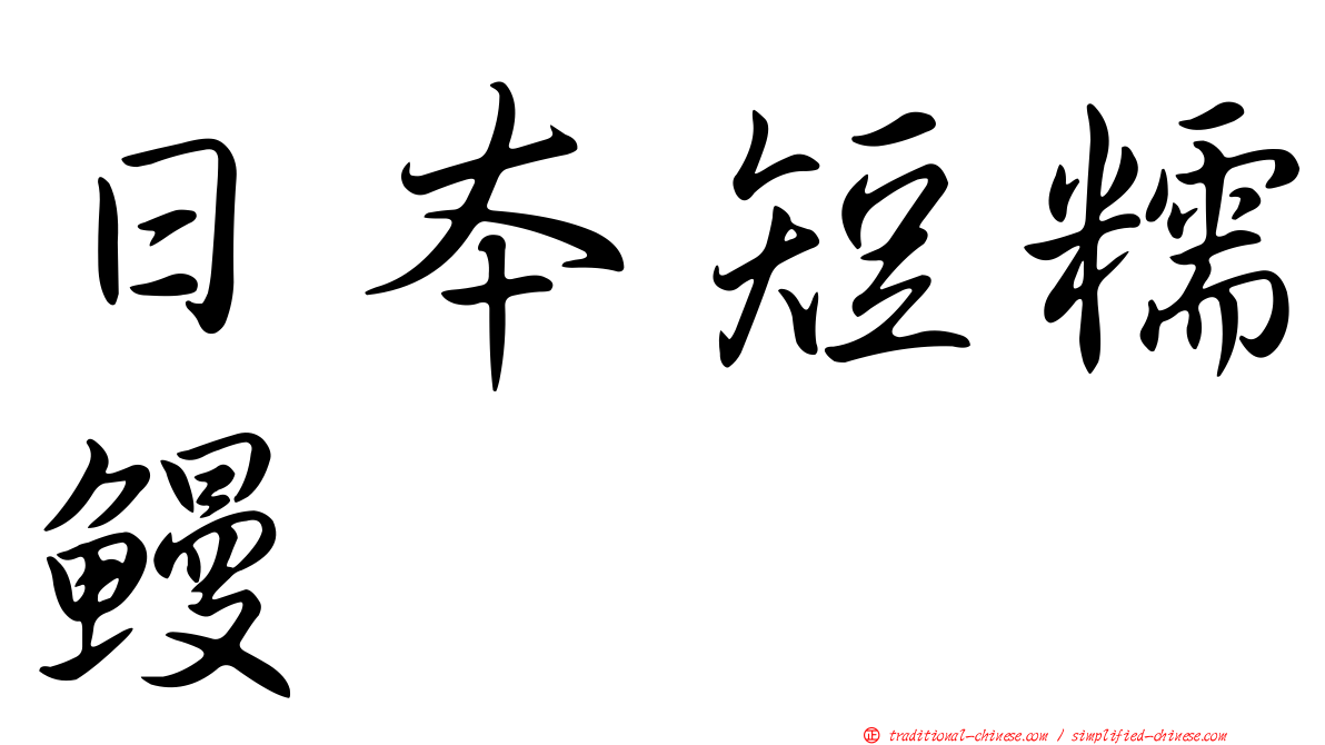 日本短糯鰻