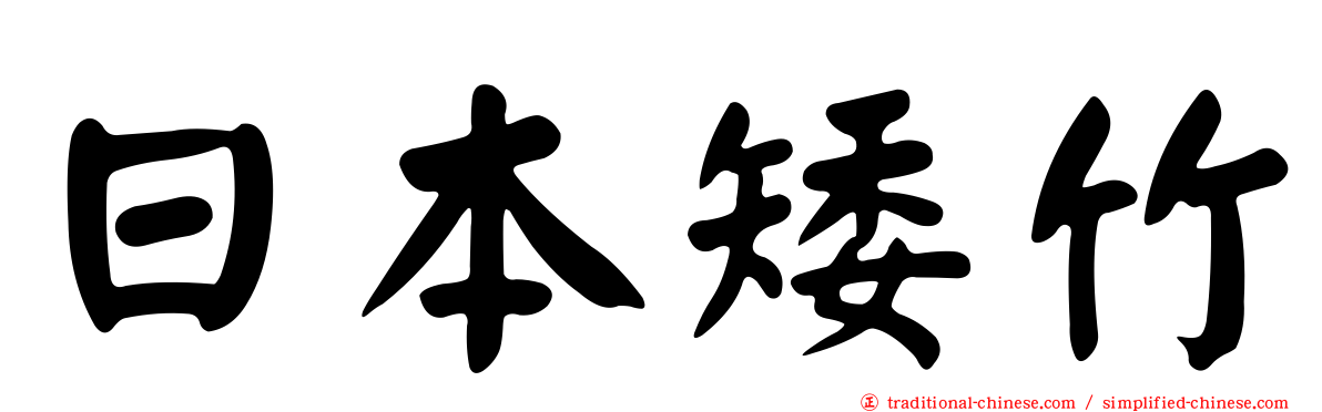 日本矮竹