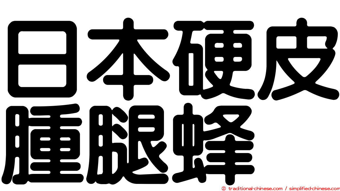 日本硬皮腫腿蜂