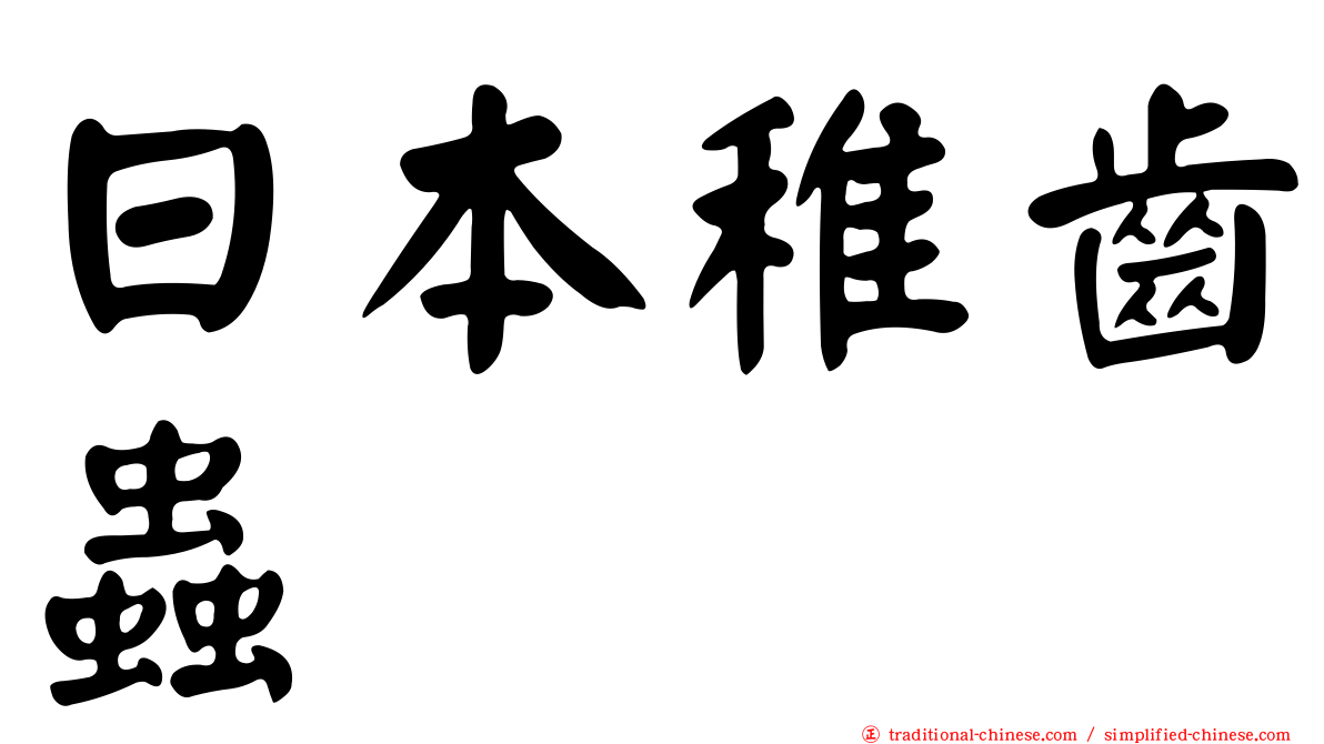 日本稚齒蟲