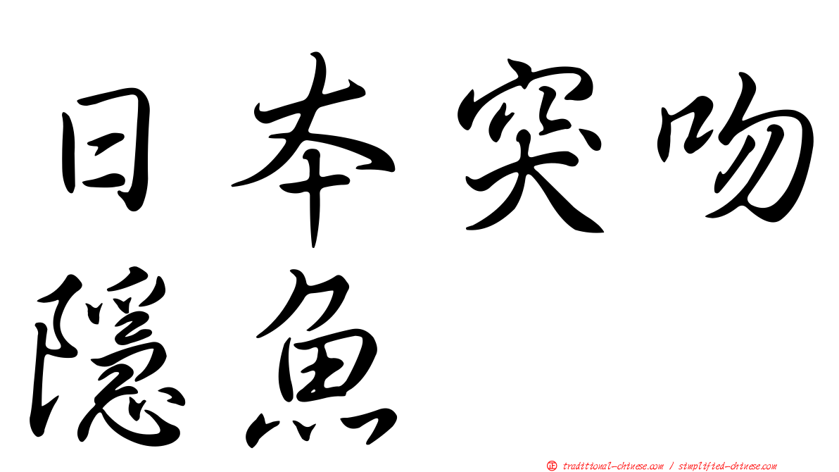 日本突吻隱魚