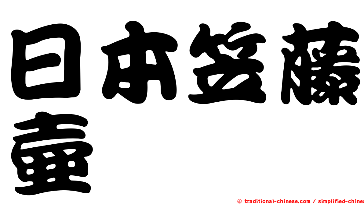 日本笠藤壺