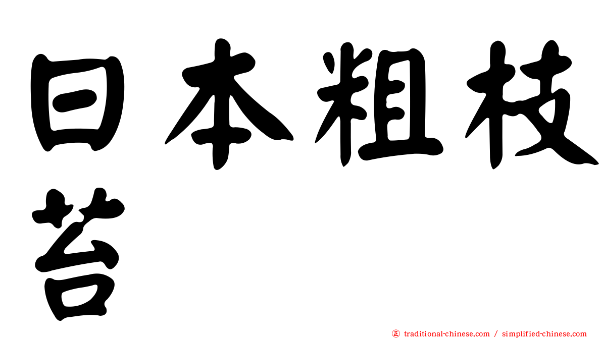 日本粗枝苔