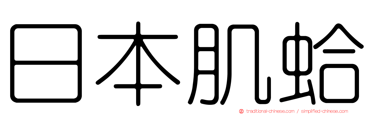 日本肌蛤