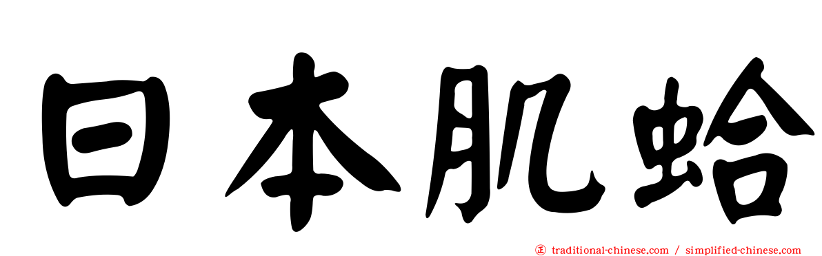 日本肌蛤
