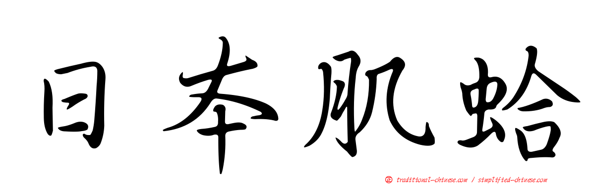 日本肌蛤