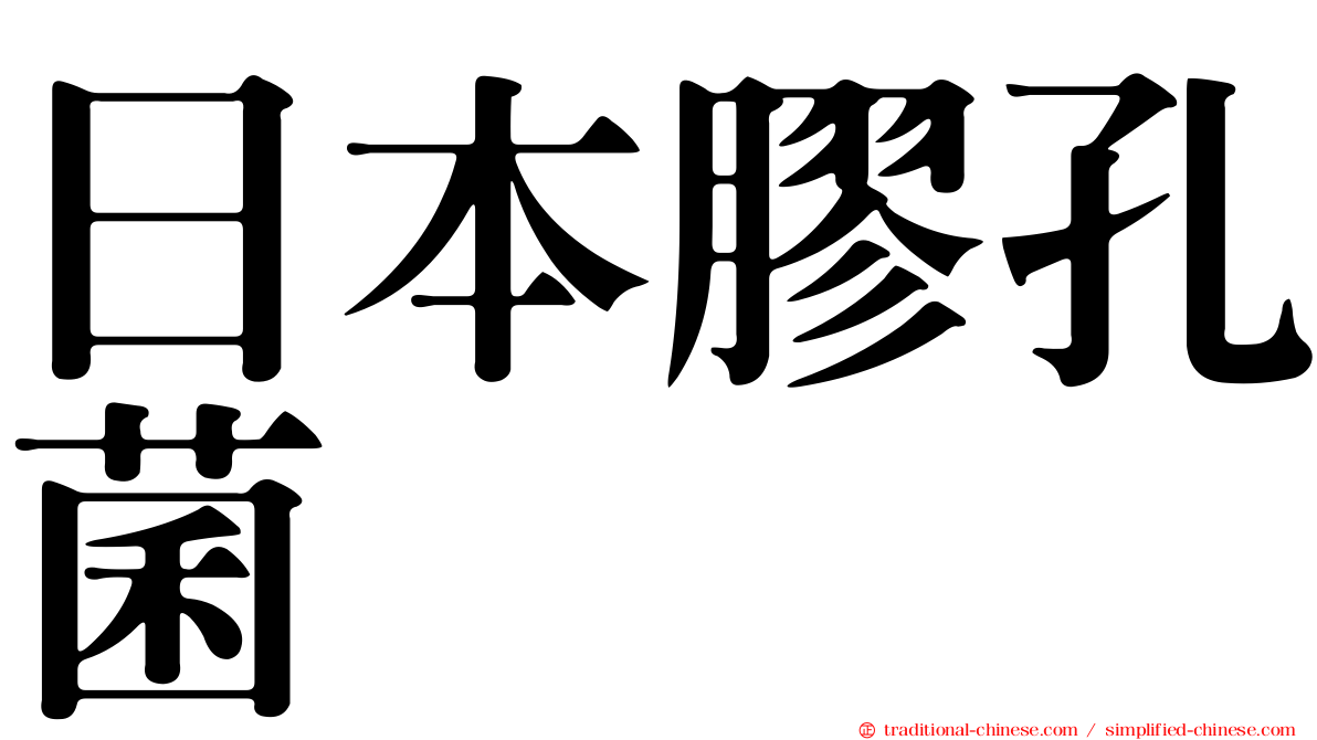 日本膠孔菌