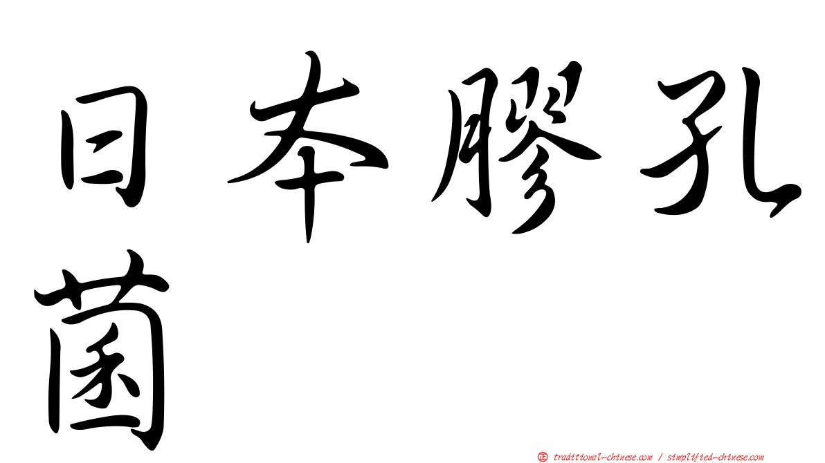 日本膠孔菌