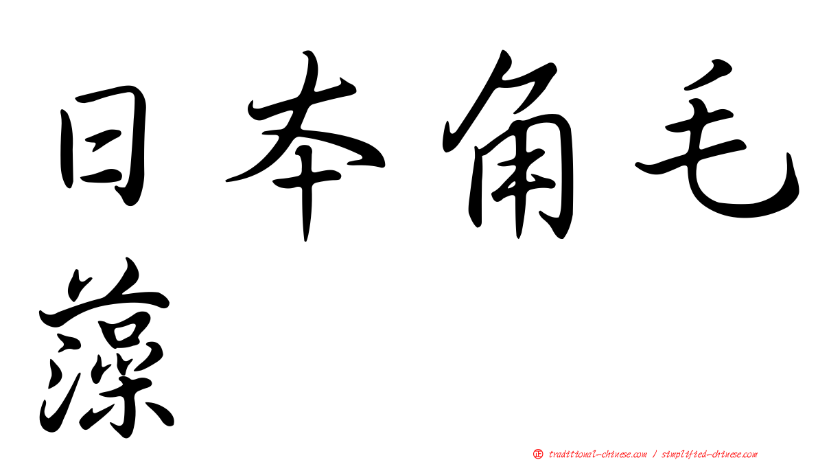 日本角毛藻