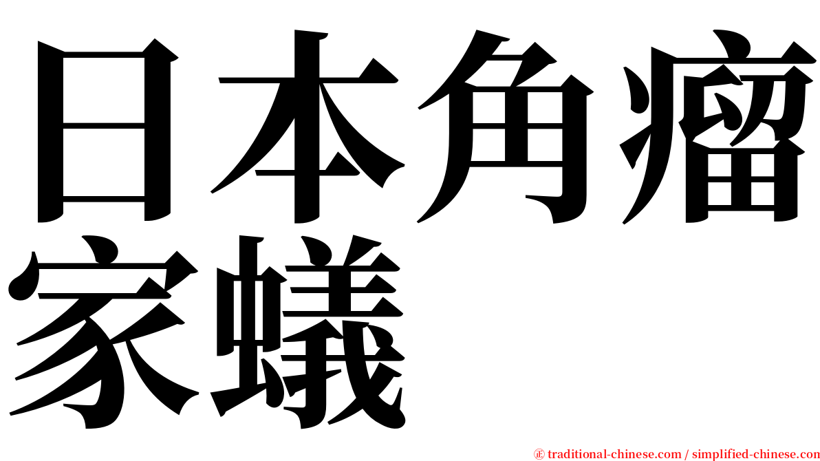 日本角瘤家蟻 serif font