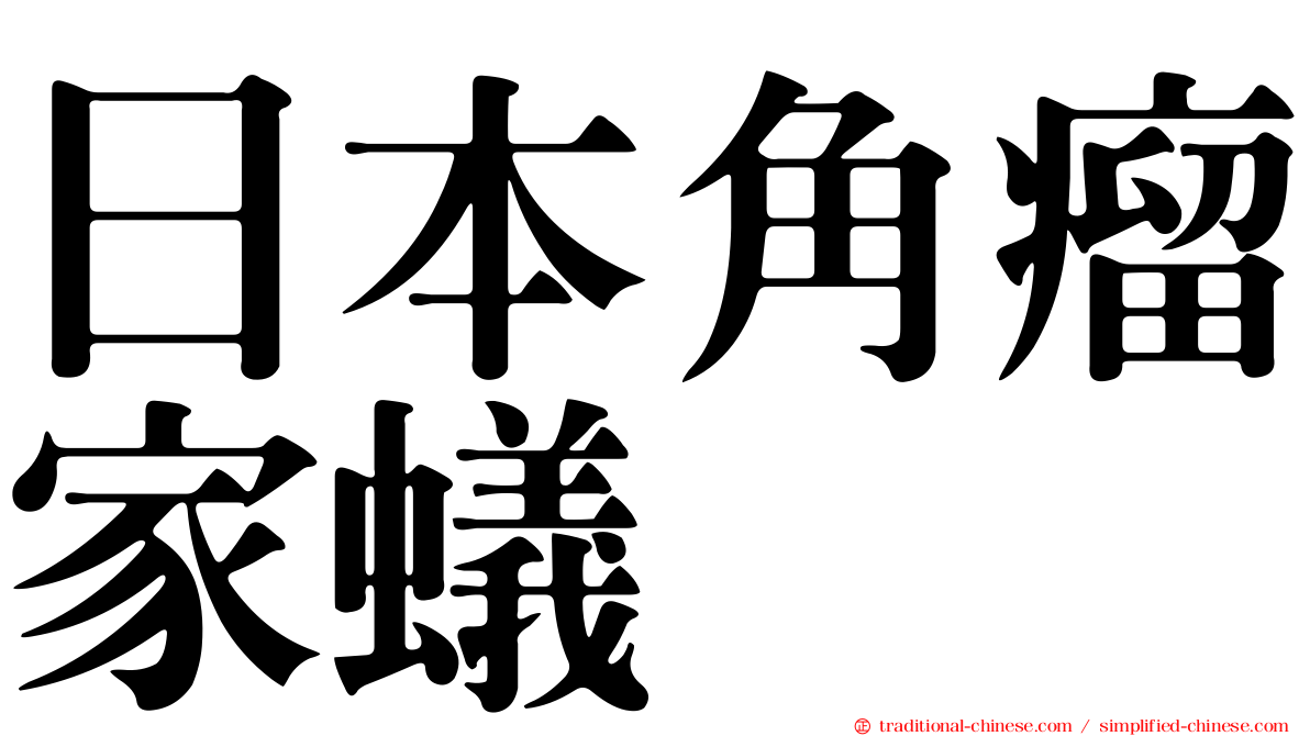日本角瘤家蟻