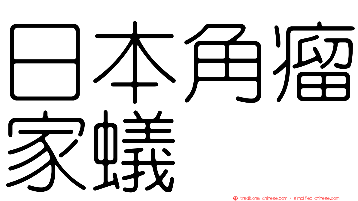 日本角瘤家蟻