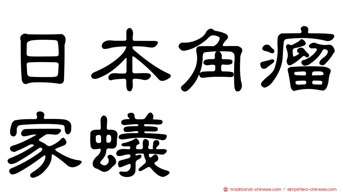 日本角瘤家蟻