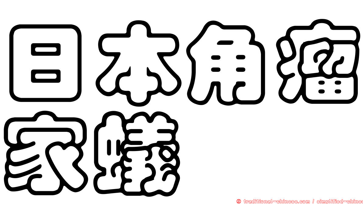 日本角瘤家蟻