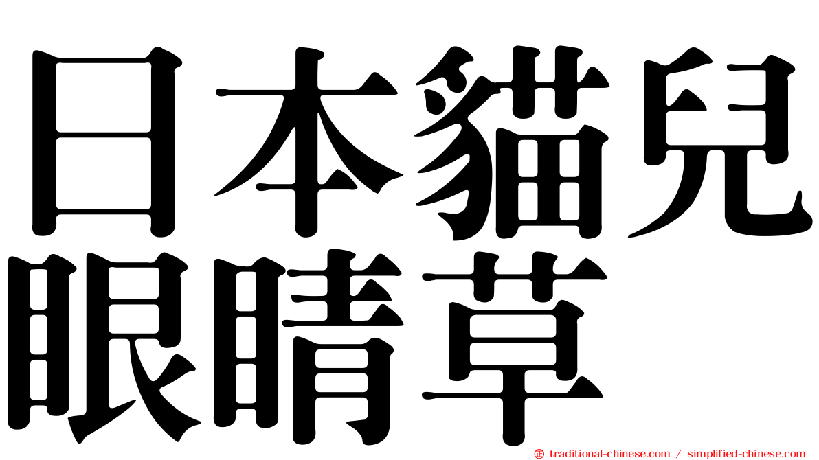 日本貓兒眼睛草